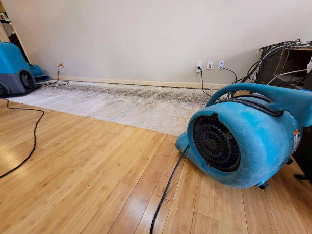 Reliable Basement Flood Cleanup contractor in Shelton, NE by Hirex Water Damage