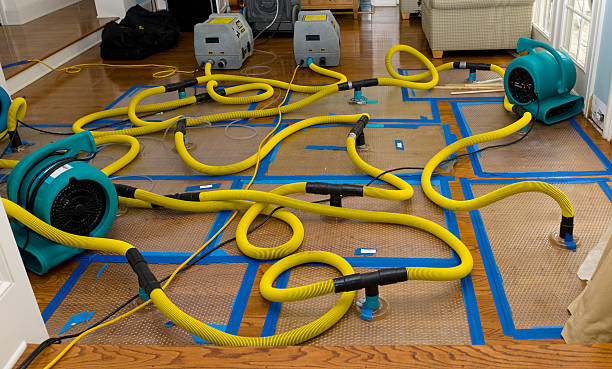 Professional Basement Flood Cleanup technician working in Shelton, NE